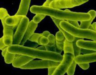 Sanità: Iss, in Italia riemergono nuovi batteri resistenti